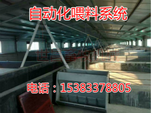 �F�����B�i���Ԅ�����ϵ�y